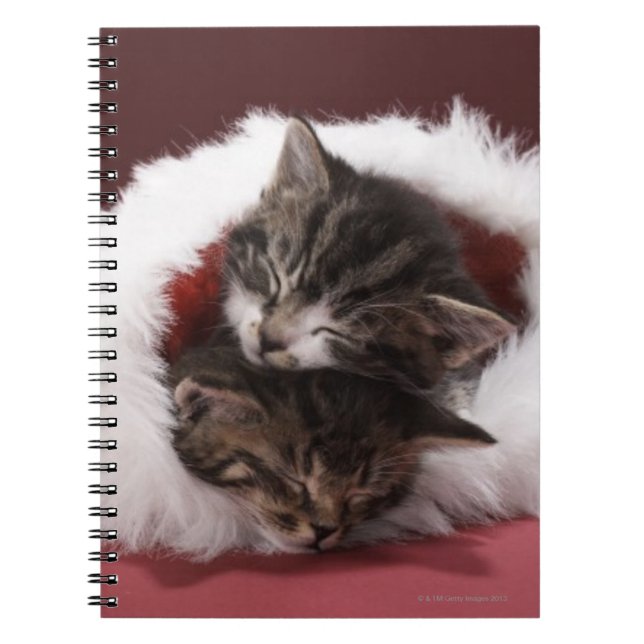 Carnet Chatons endormis ensemble dans le casquette de (Devant)