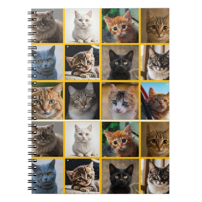 Carnet Chatons partout (Devant)