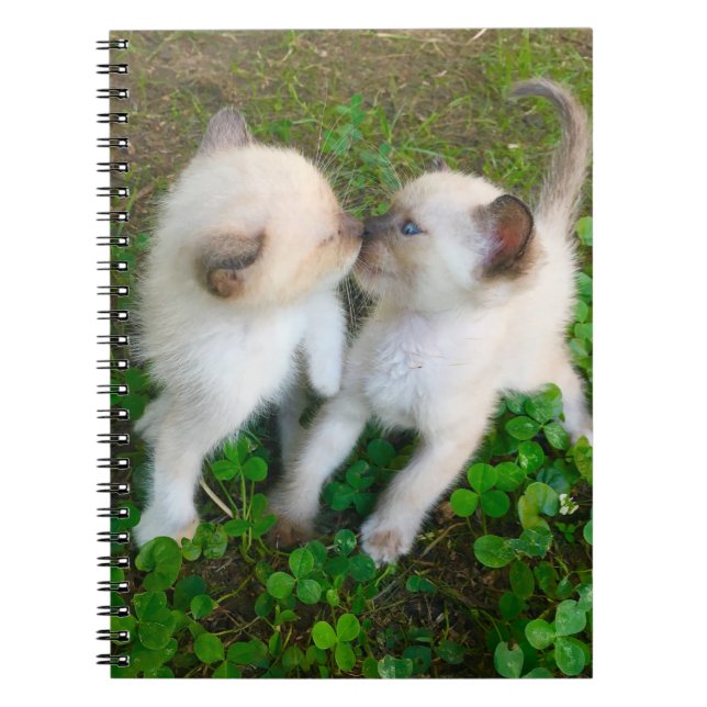 Carnet chatons s'embrassant dans du trèfle (Devant)