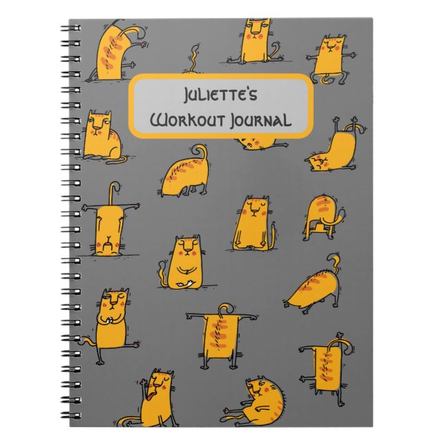 Carnet Chats de Yoga sérieusement amusants (Devant)