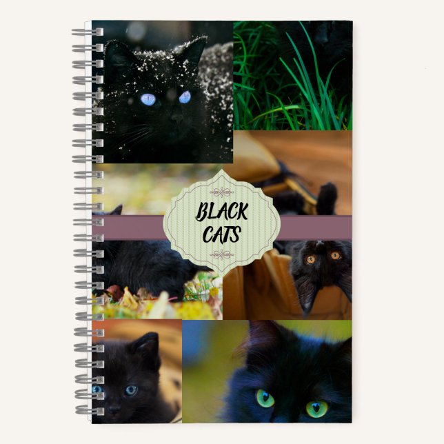 Carnet Chats noirs (Recto)