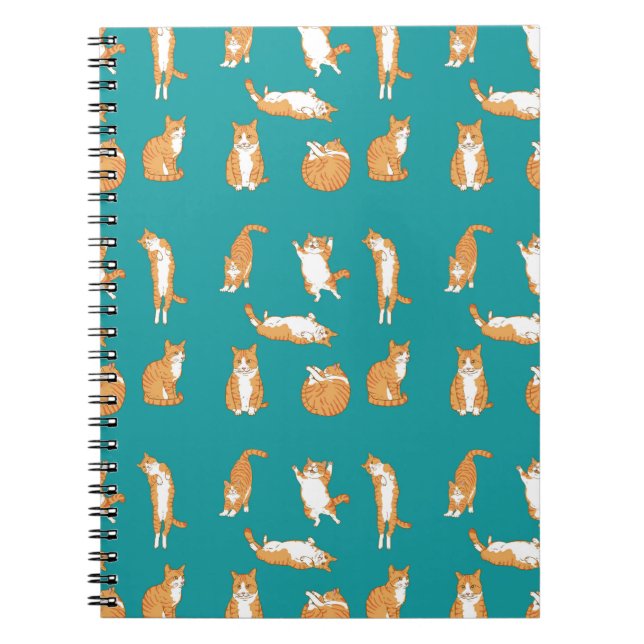 Carnet Chats orange drôles (Devant)