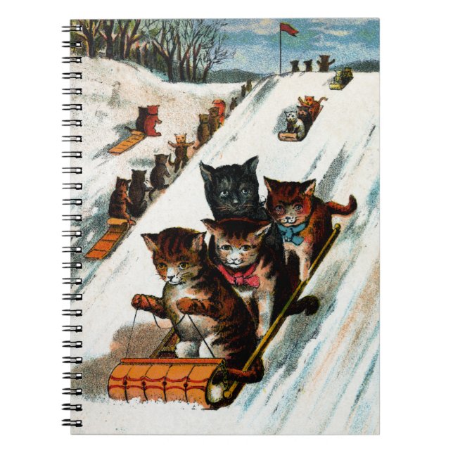 Carnet Chats vintages de toboggan (Devant)