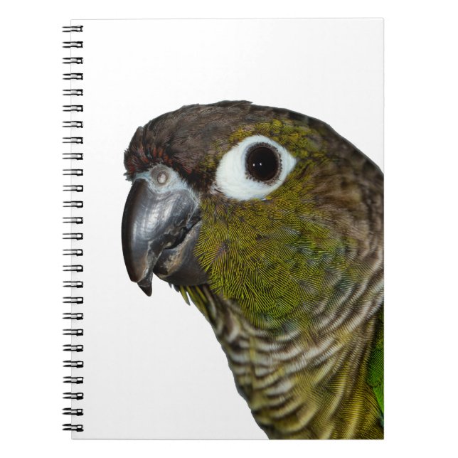 Carnet Cheeked vert Conure (Devant)