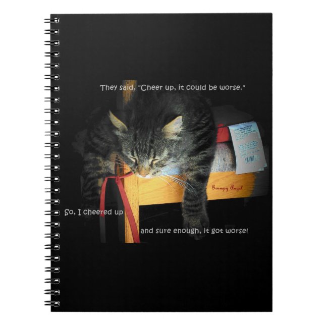 Carnet Cheer up Kitty Ça Pourrait Être Pire (Devant)