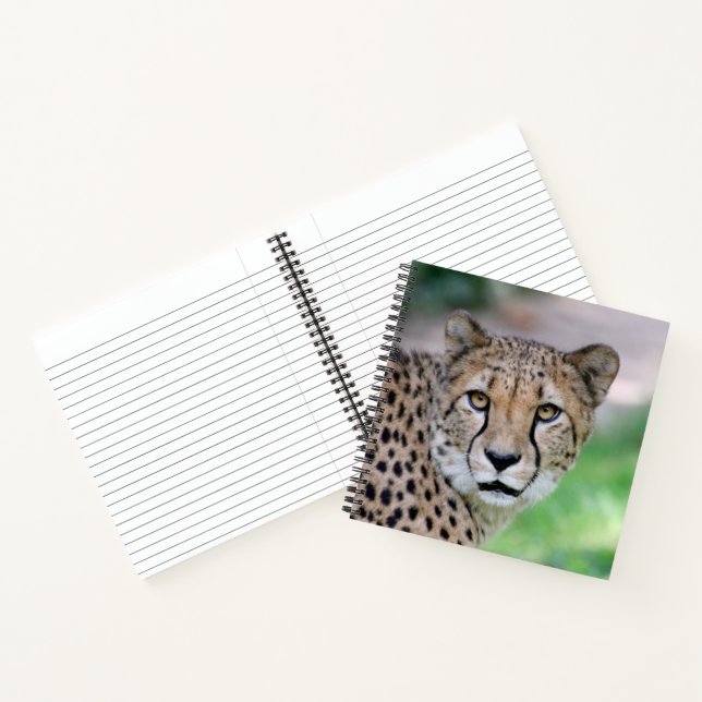 Carnet Cheetah 009 (Intérieur)
