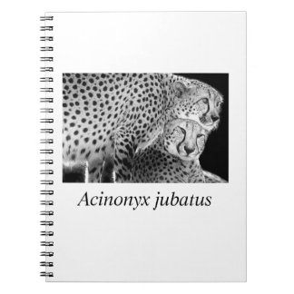 Carnet Cheetah#1