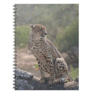 Carnet Cheetah assis sur un arbre tombé dans la nature