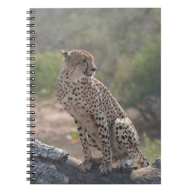 Carnet Cheetah assis sur un arbre tombé dans la nature (Devant)