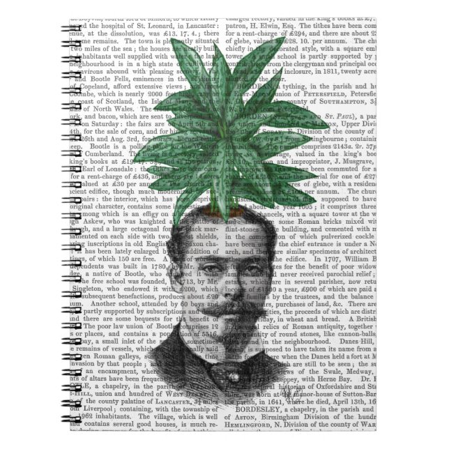 Carnet Chef d'Plante À feuillage persistant chinois (Devant)