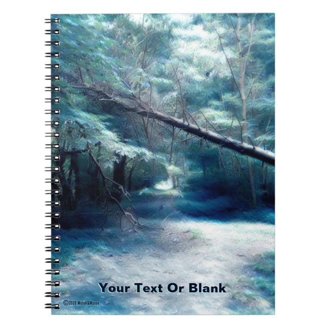 Carnet Chemin du Briquet bleu (Devant)