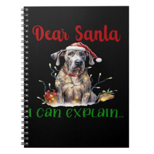 Carnet Cher Père Noël, je peux expliquer T-Shirt essentie