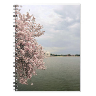 Carnet Cherry Blossoms at the Tidal Basin