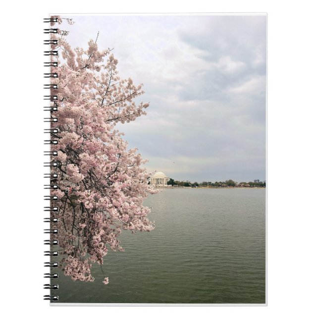 Carnet Cherry Blossoms at the Tidal Basin (Devant)