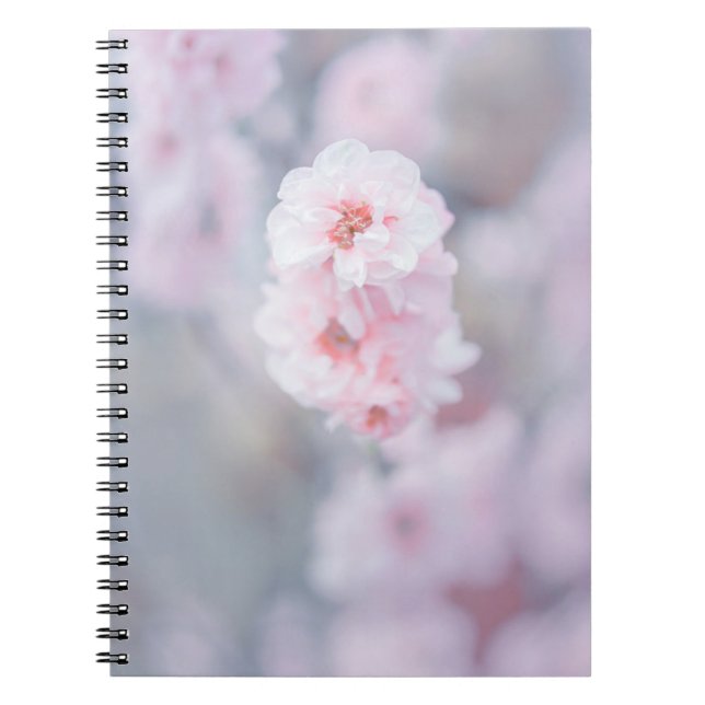 CARNET CHERRY ROSE BLOSSOM EN FERMETURE PHOTOGRAPHIE (Devant)