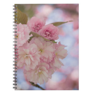 CARNET CHERRY ROSE BLOSSOM EN FERMETURE PHOTOGRAPHIE