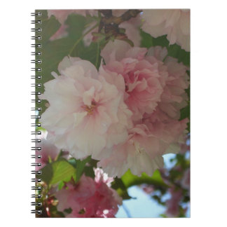 Carnet Cherry Tree I Spring Floral