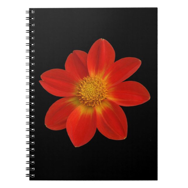 Carnet Cherub alpin (Dahlia) (Devant)