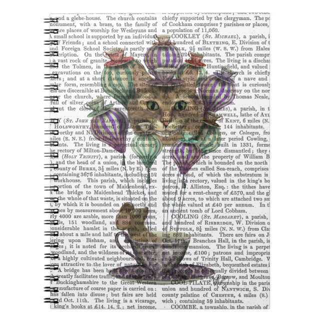 Carnet Cheshire Chat Hot Air Balloon (Devant)