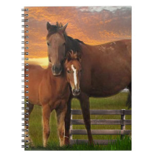 Carnet Cheval