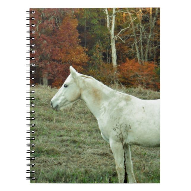 Carnet Cheval à la crème blanche dans un champ d'automne (Devant)