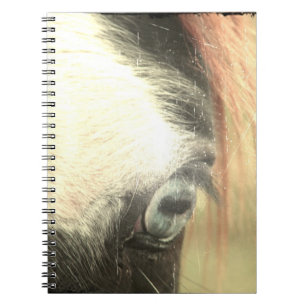 Carnet Cheval aux yeux bleus Grunge