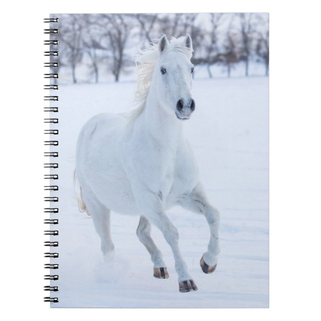 Carnet Cheval blanc courant dans la neige (Devant)