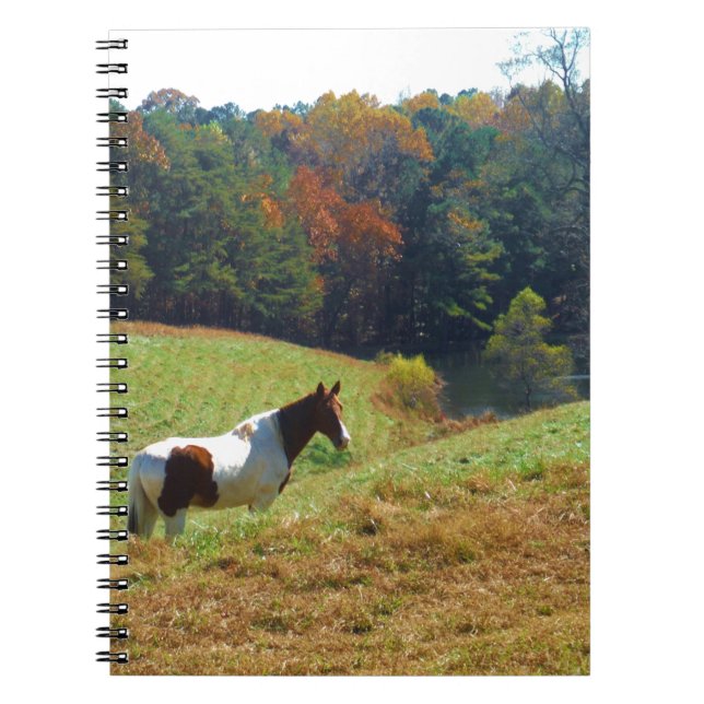 Carnet Cheval blanc et Brown, étang d'automne (Devant)