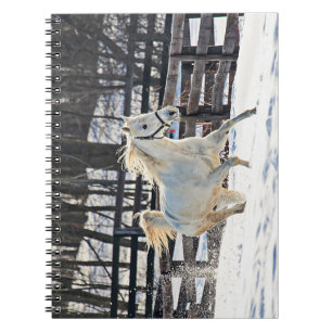 Carnet Cheval blanc galopant