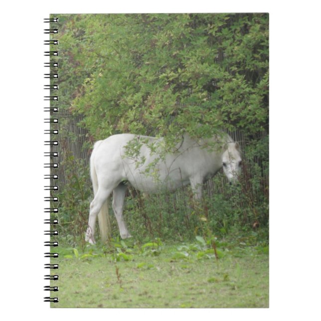 Carnet Cheval Blanc timide (Devant)