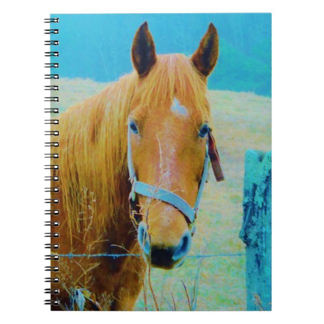 Carnet Cheval bleu Denim teinté (Devant)