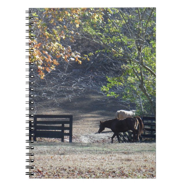 Carnet Cheval Brown à pied à travers la clôture (Devant)