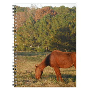 Carnet Cheval Brown aux pins