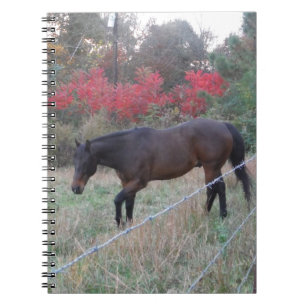 Carnet Cheval Brown dans les arbres d'automne rouges