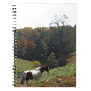 Carnet Cheval Brown et blanc à l'étang d'automne