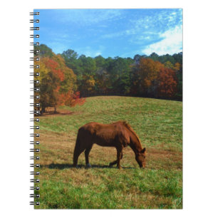 Carnet Cheval Brown rouge, arbres de chute, ciel bleu