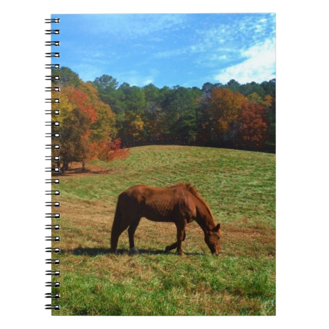 Carnet Cheval Brown rouge, arbres de chute, ciel bleu (Devant)
