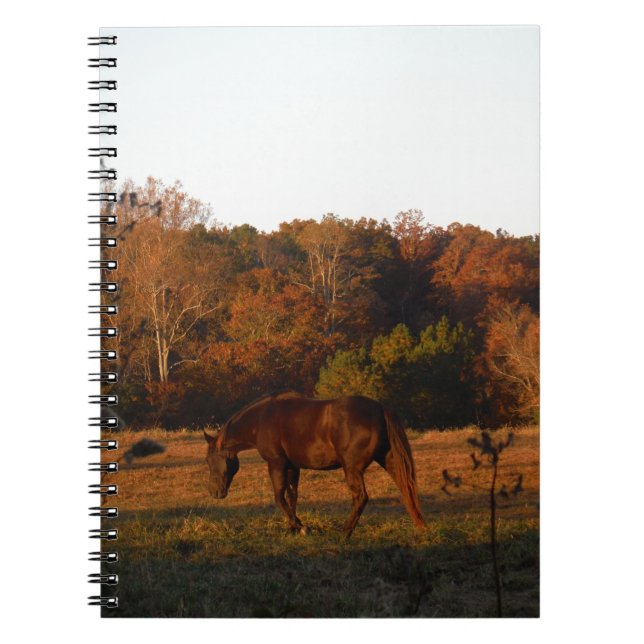 Carnet Cheval Brown rouge, bois d'automne. (Devant)