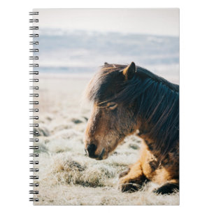 Carnet CHEVAL Brown SITUÉ SUR GRASS PRÈS DE LA PLAGE