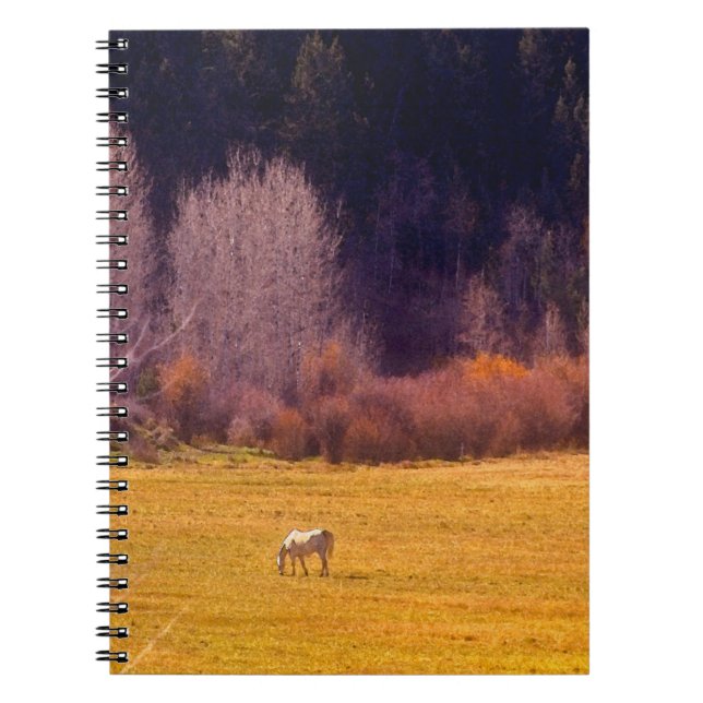 Carnet Cheval dans l'automne I (Devant)