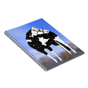 Carnet Cheval de peinture Overo noir et blanc
