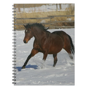 Carnet Cheval de pur sang fonctionnant dans la neige