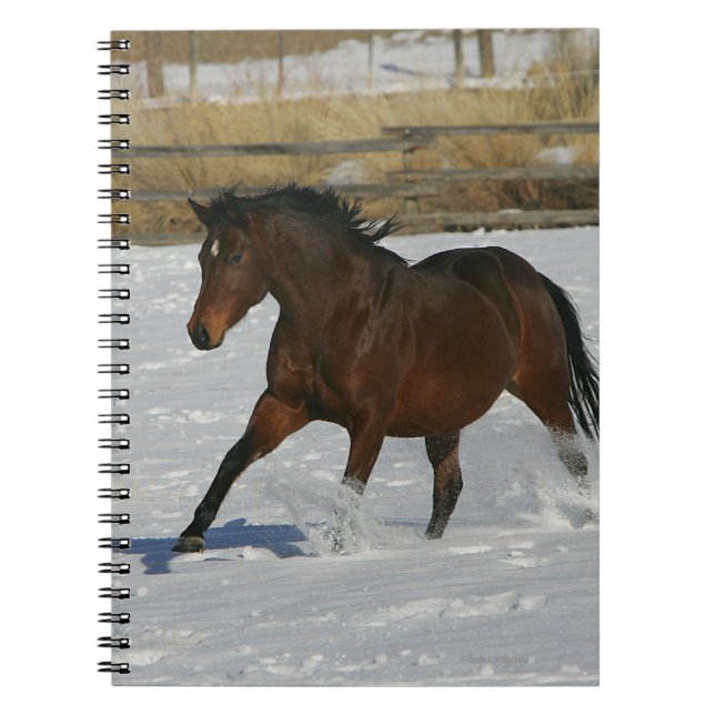 Carnet Cheval de pur sang fonctionnant dans la neige (Devant)