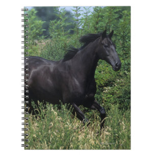 Carnet Cheval de pur sang fonctionnant dans l'herbe