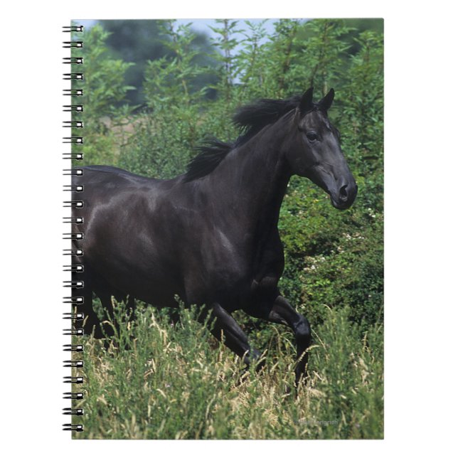 Carnet Cheval de pur sang fonctionnant dans l'herbe (Devant)