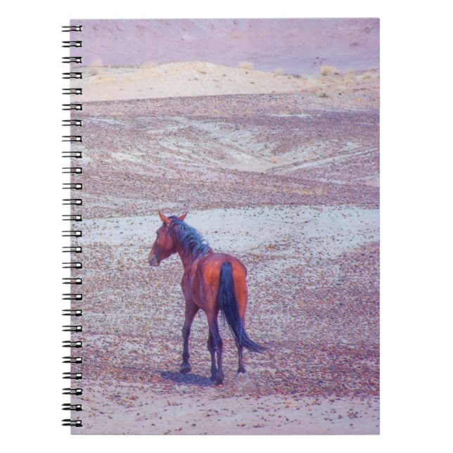 Carnet Cheval du désert P8640 (Devant)