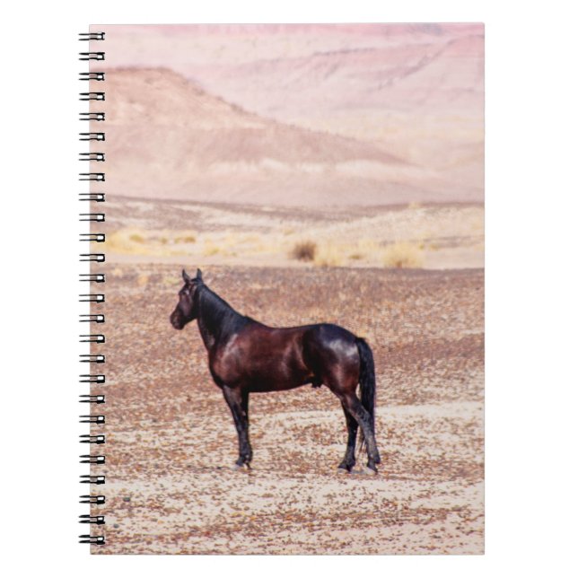 Carnet Cheval du désert P8664 (Devant)