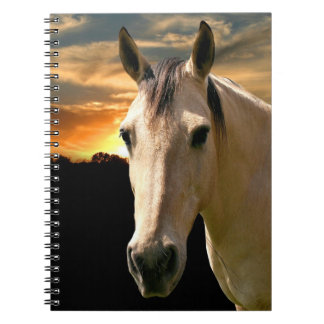 Carnet Cheval du soleil