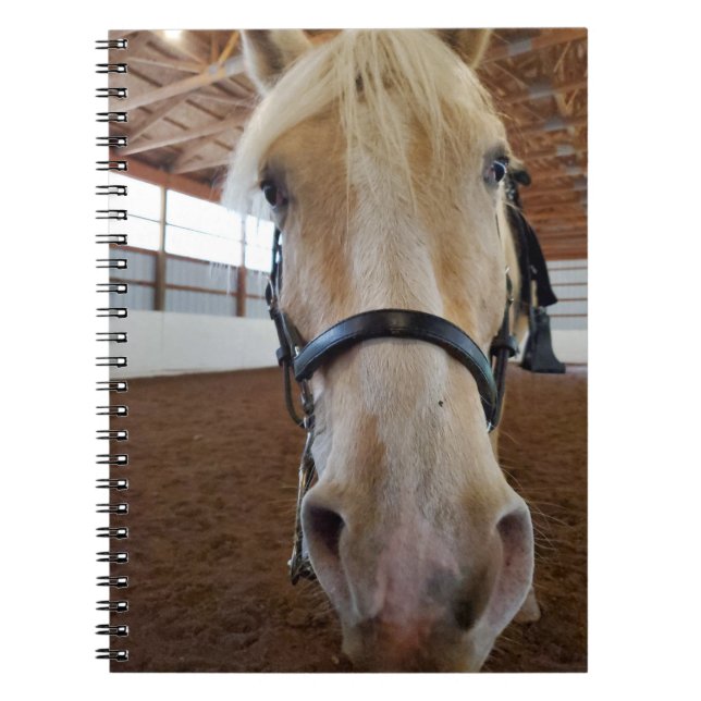 Carnet Cheval "Hi" (Devant)