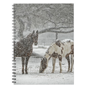 Carnet cheval hiver neige ferme ranch animaux neigeux gel